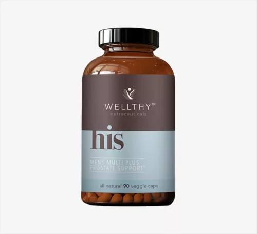 Wellthy His Multivitamin Plus Prostate Support