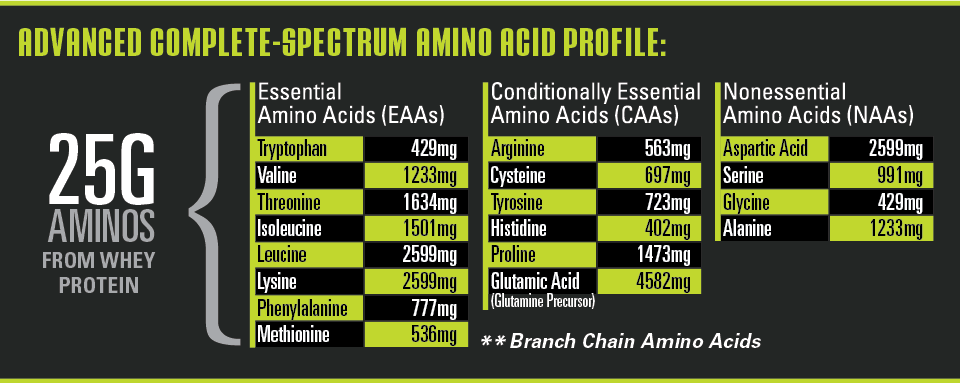 NutraBio Whey Protein Isolate Alpine Vanilla2